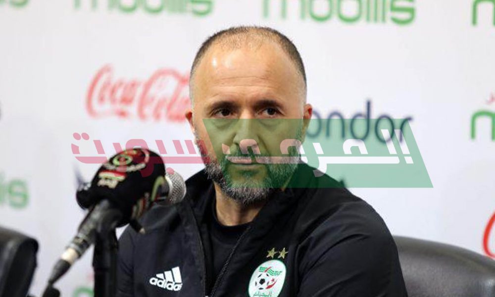 أهم تصريحات جمال بلماضي بخصوص اللاعبين مزدوجي الجنسية