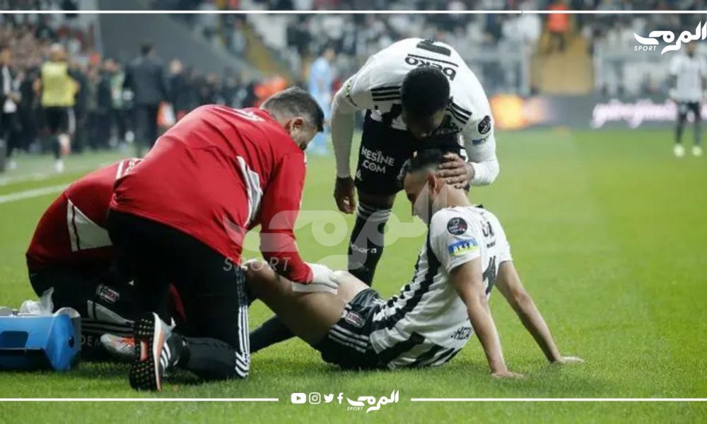 غزال يخضع لعملية جراحية ناجحة